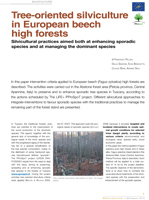 1 PProSpoT Forest planning eng