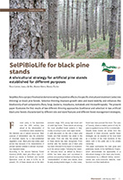 02-SelPiBioLife for black pine - Sherwood225