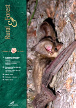 Rural Forest - CTFC magazine
