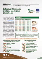 01-Selective thinning in artificial black pine plantations-Sherwood224-Info