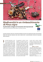 03-The economic potential of mushrooms in an artificial Pinus nigra forest-Sherwood231